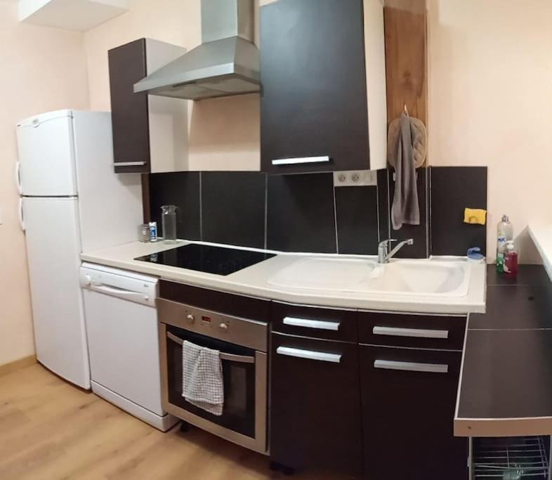 Residence Gascogne, Appartement Rose Boreal Eaux-Bonnes Exterior foto